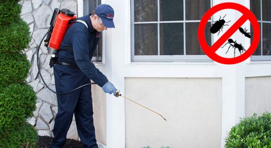 Sakarya Fare İlaçlama böcek ilaçlama ve haşere kontrolü — ilaclama-tr.com